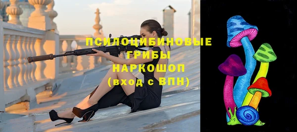 СК Бронницы
