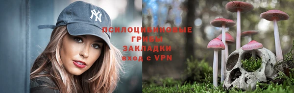 соль ск Бородино