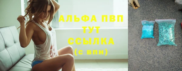 СК Бронницы