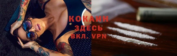 гидра Волоколамск