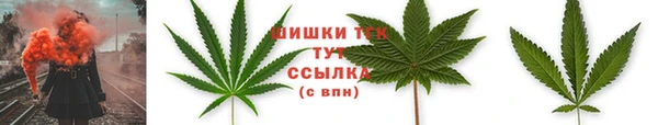стафф Володарск