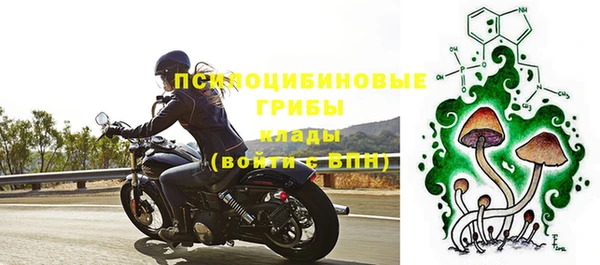 соль ск Бородино