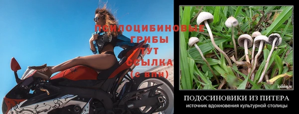 стафф Володарск