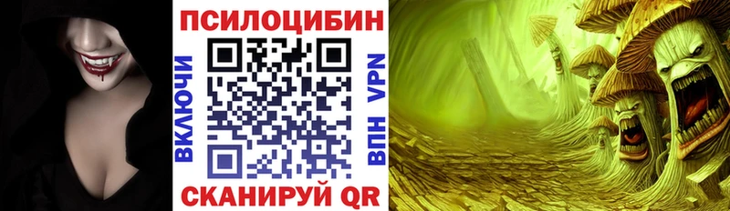 Галлюциногенные грибы мицелий  закладка  Долинск 
