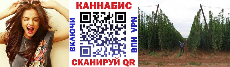 Бошки Шишки VHQ  купить   Долинск 
